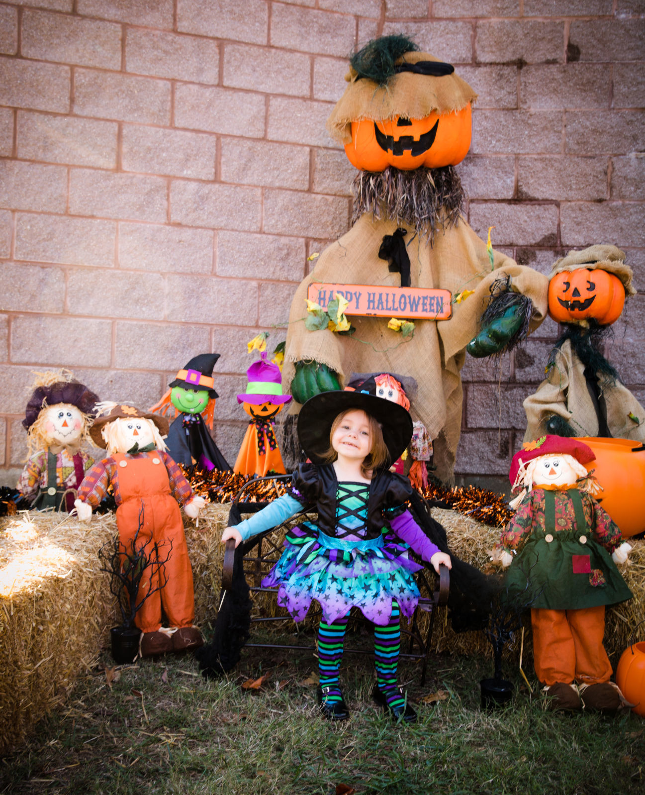 Pumpkins in the Park